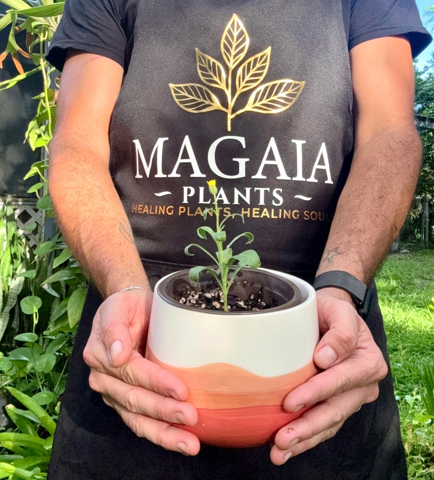 MaGaia founder Andrés Arango holding a young plant in his home nursery, wearing MaGaia-branded clothing